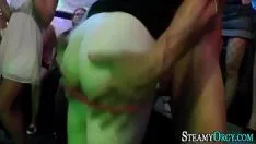 Play Girls Kissing And Having Free Sex In Clubs In Bucharest